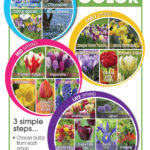Spring Bloom Times - Enjoy 60 Days of Color!