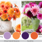 Color Trends in the Garden: 2013