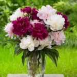 5 Tips for Long-Lasting Flower Bouquets
