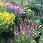 How to Plan for a More Colorful Flower Garden