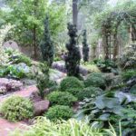 7 Design Tips for Shady Gardens