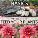 Fertilizer Basics -- Why and How to Feed Your Plants