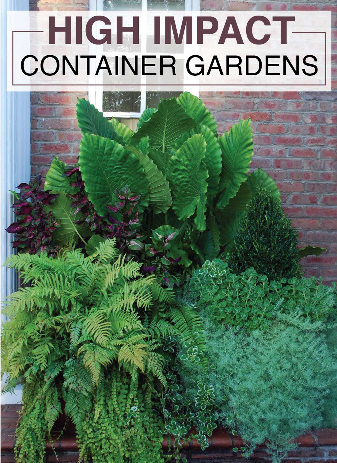 High Impact Container Gardens