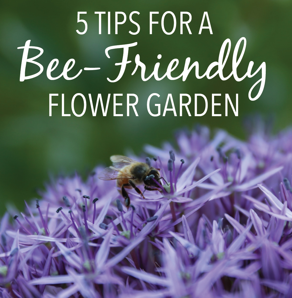 5 Tips for a More Bee-Friendly Flower Garden