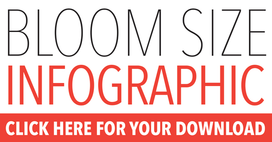 Bloom Size Infographic Click Here