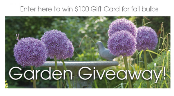Garden Giveaway - Win Free Bulbs