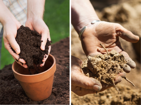 good soil vs bad soil