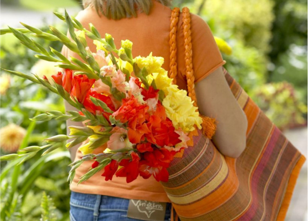 Woman carrying summer gladiolus