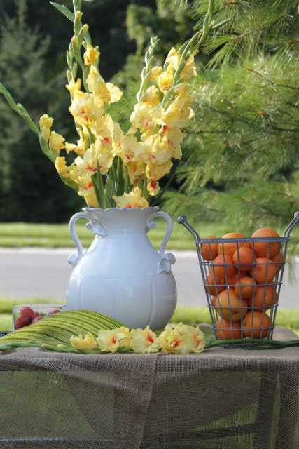 Yellow glads in white pitcher