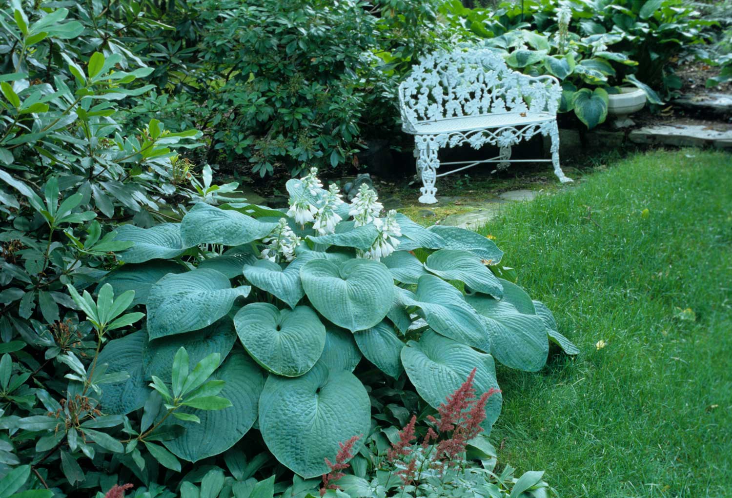 bench-in-shady-garden