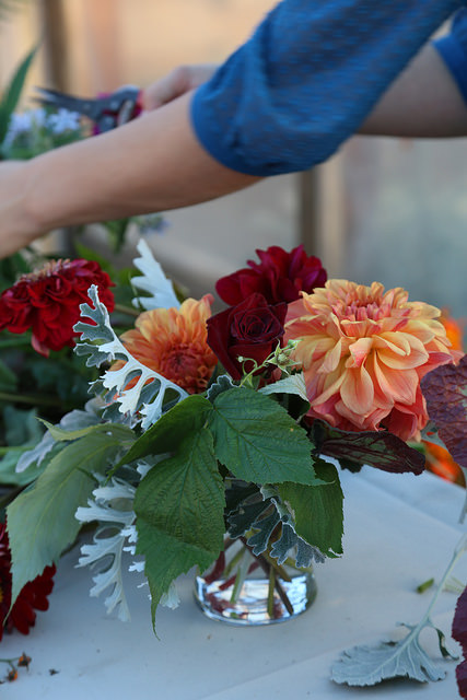 jello-mold-farm-arranging-flowers