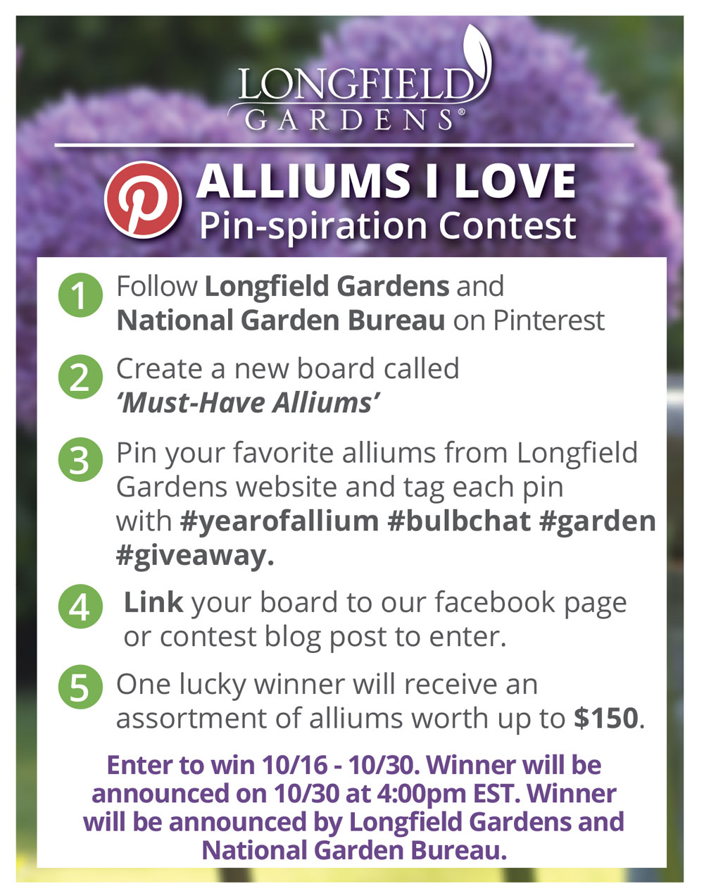Alliums Pinterest Contest