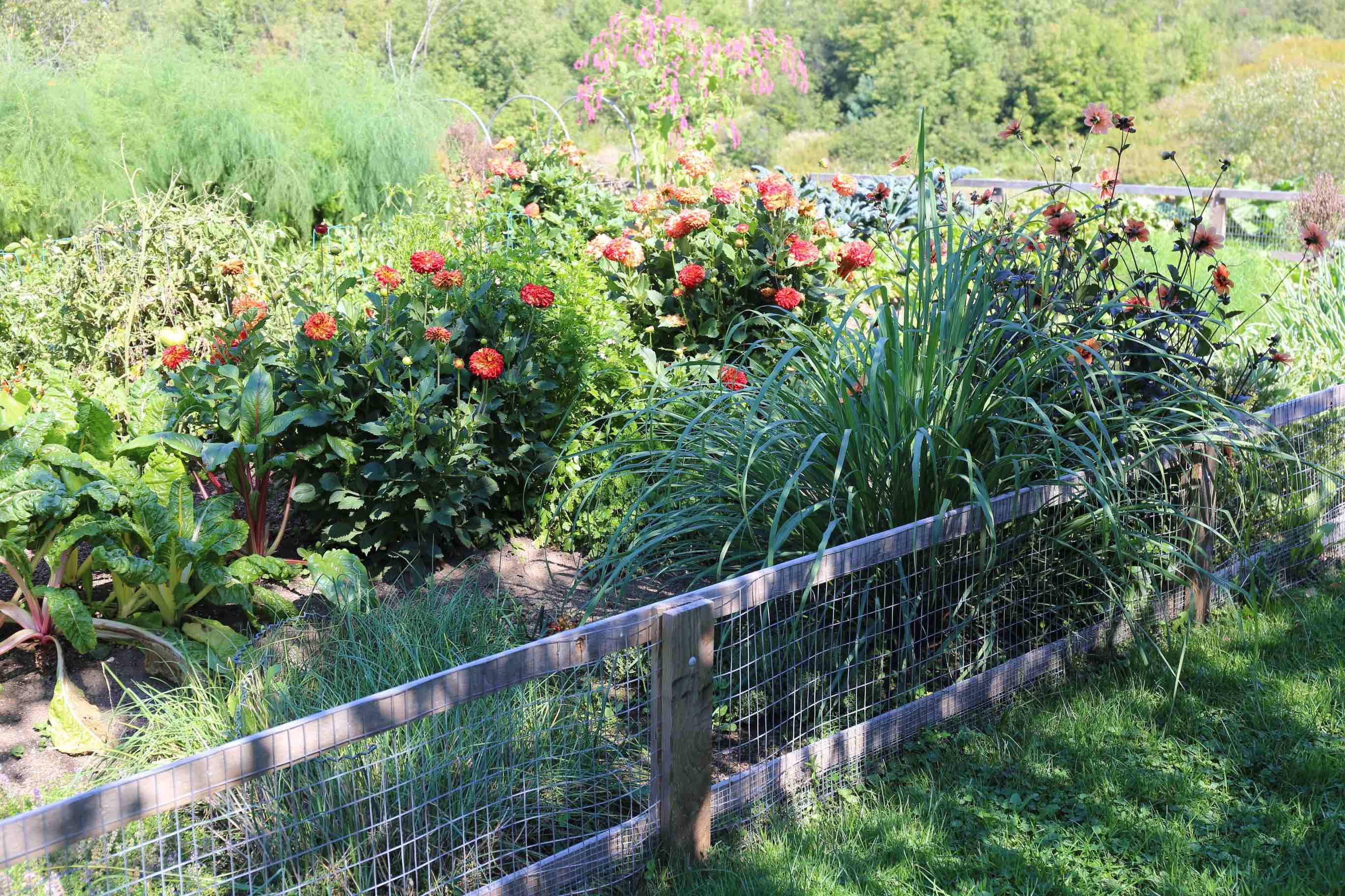 vole-proof garden fence