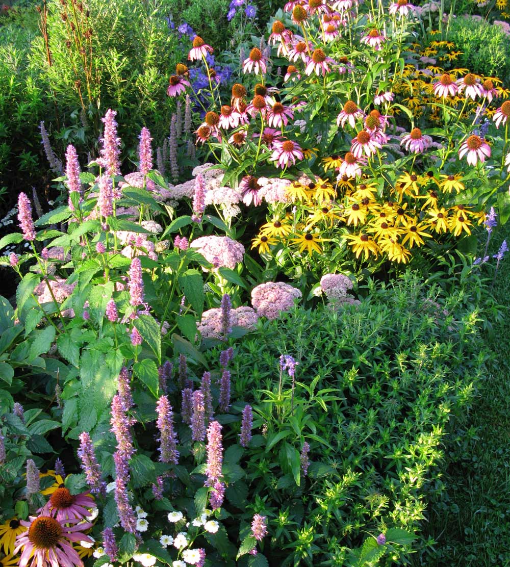 annuals-with-perennials.jpg