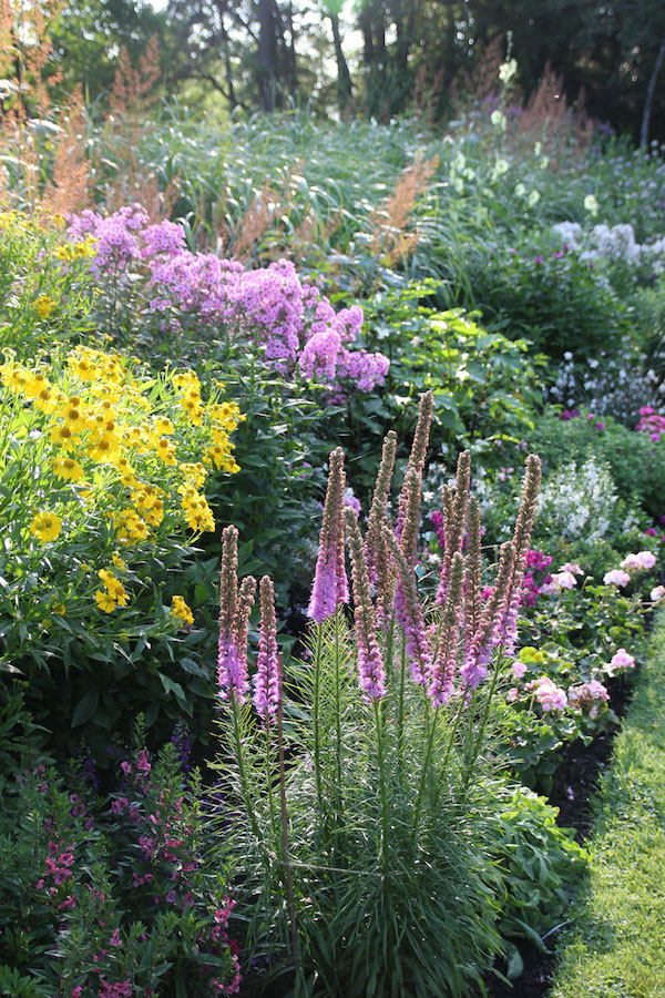 How to Plan for a More Colorful Flower Garden Longfield Gardens