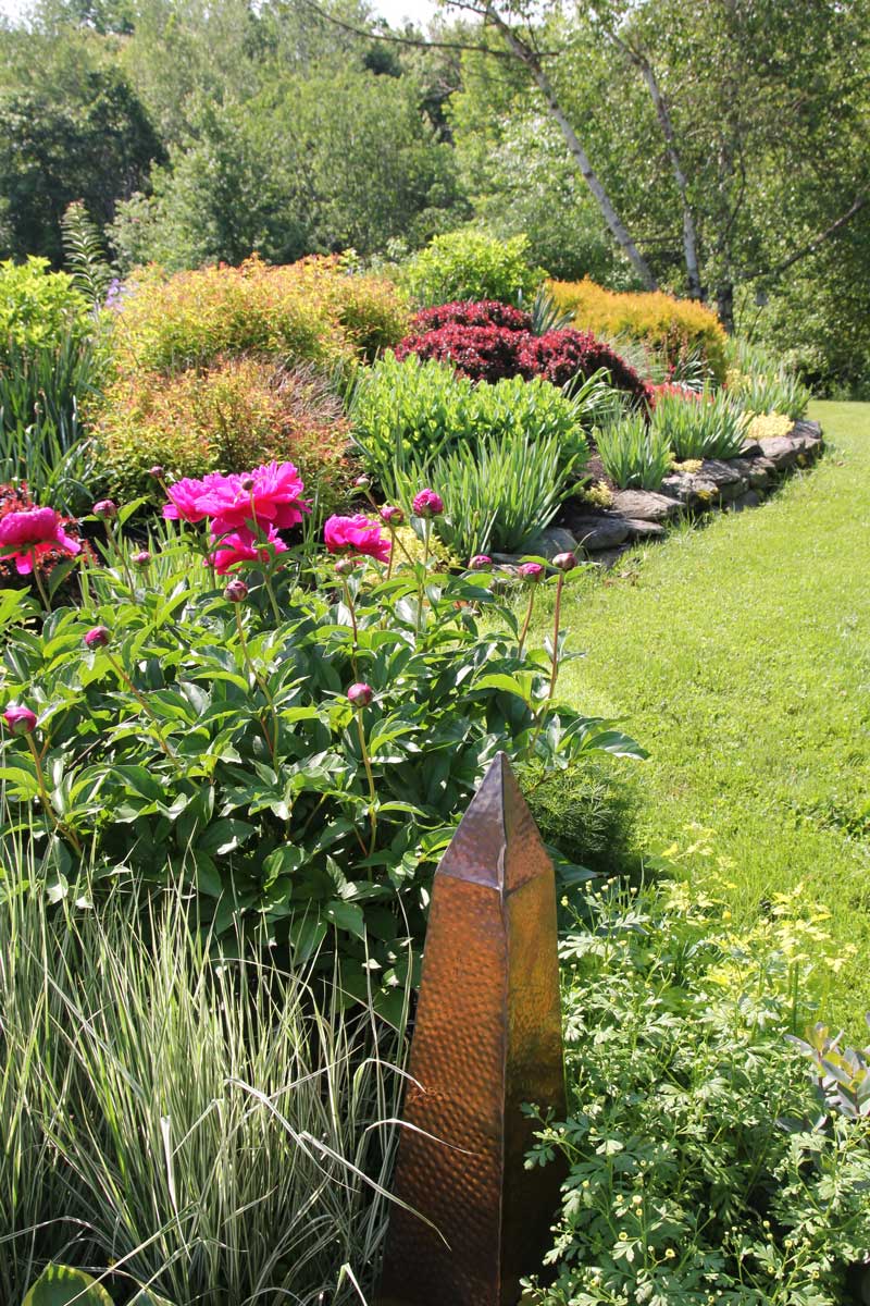 shrubs-in-perennial-border.jpg