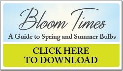 Click here to download Bloom Times