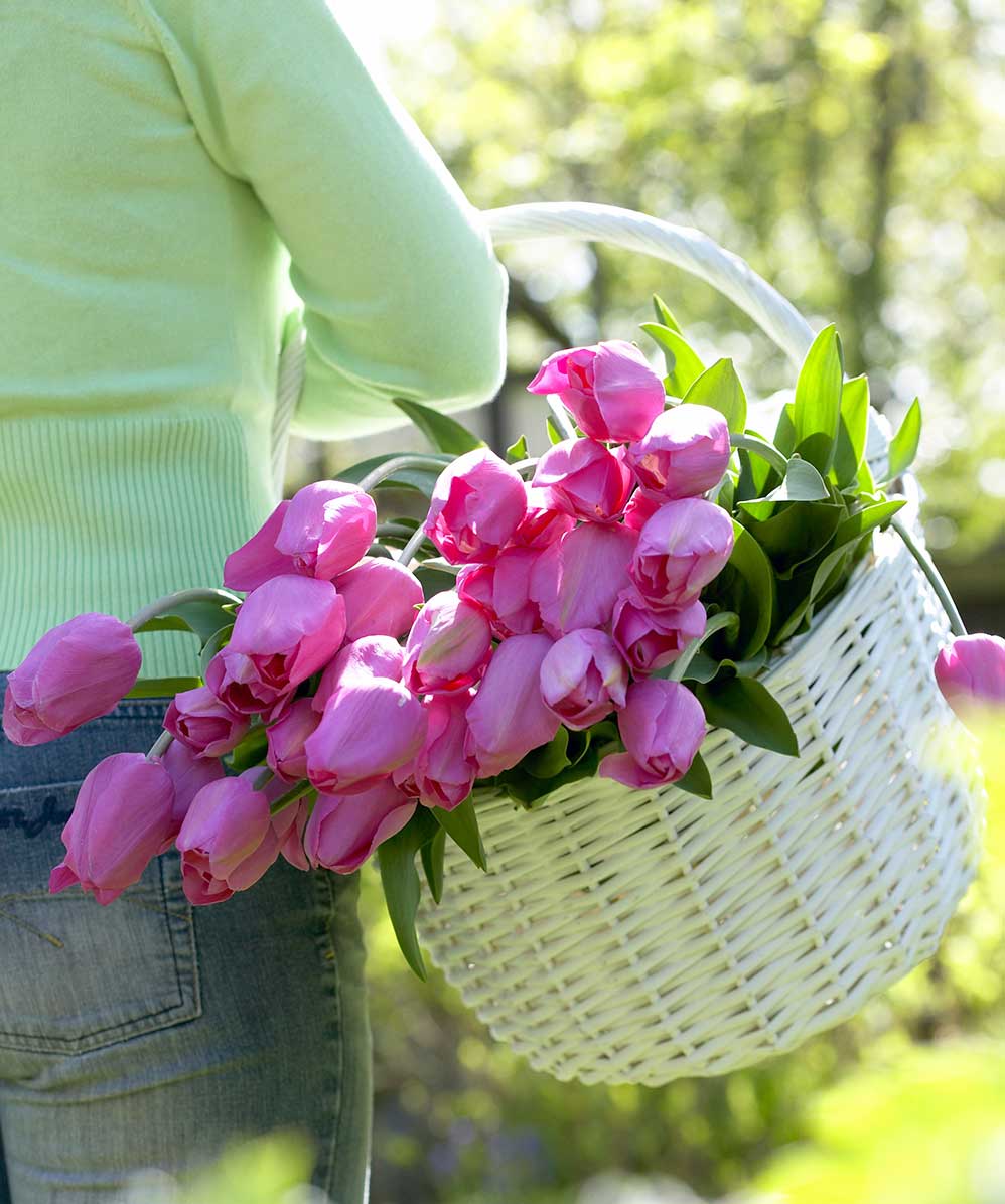 pink-tulips-in-harvest-basket.jpg