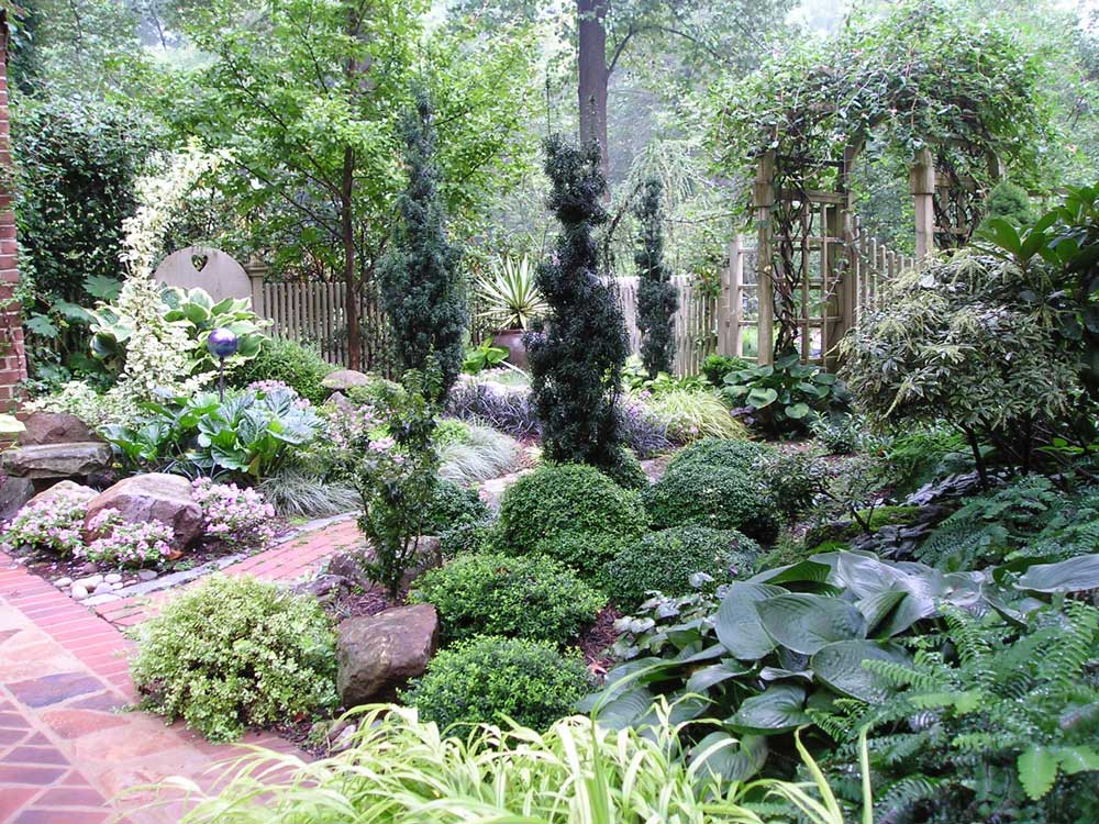 7 Design Tips for Shady Gardens - Longfield Gardens