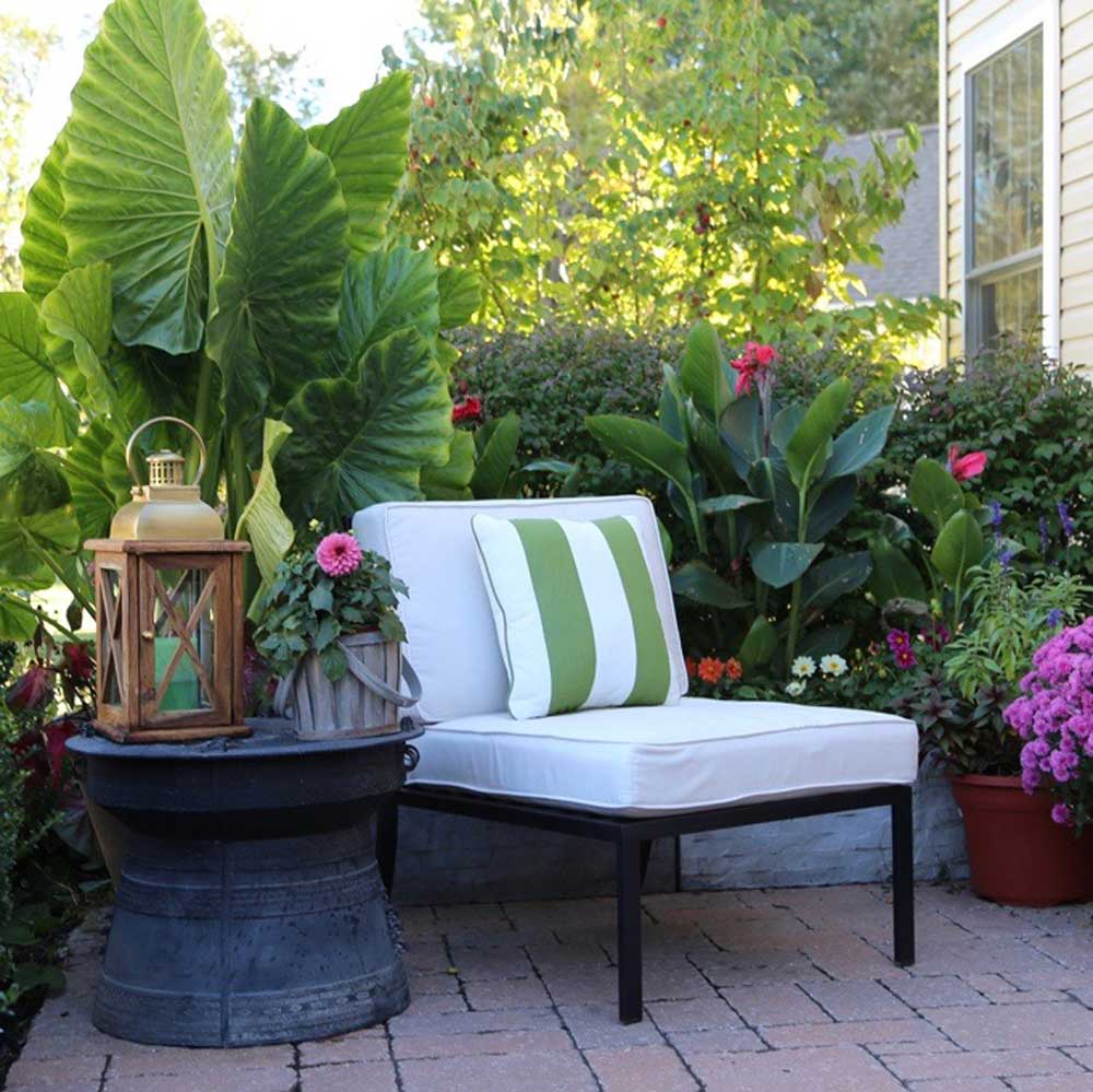 Patio with summer bulbs.jpg