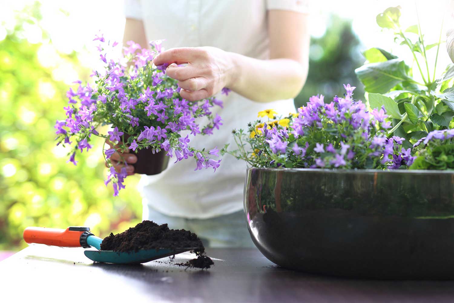 container-planting.jpg