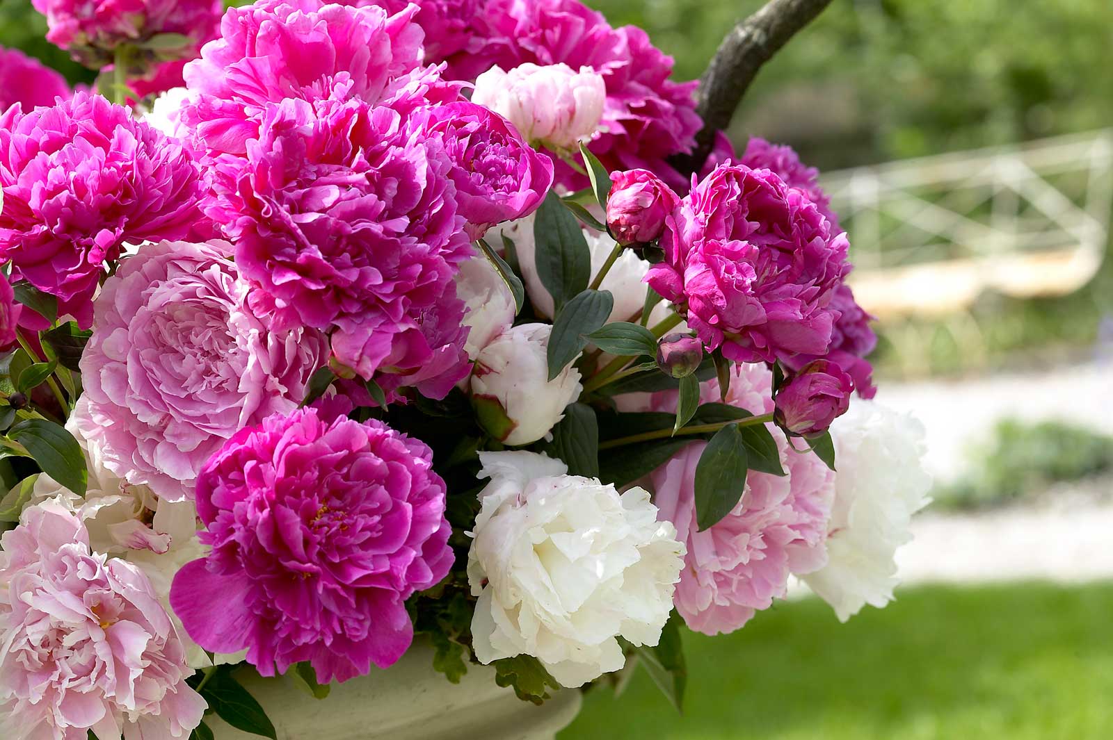 mixed-herbaceous-peony-bouquet.jpg