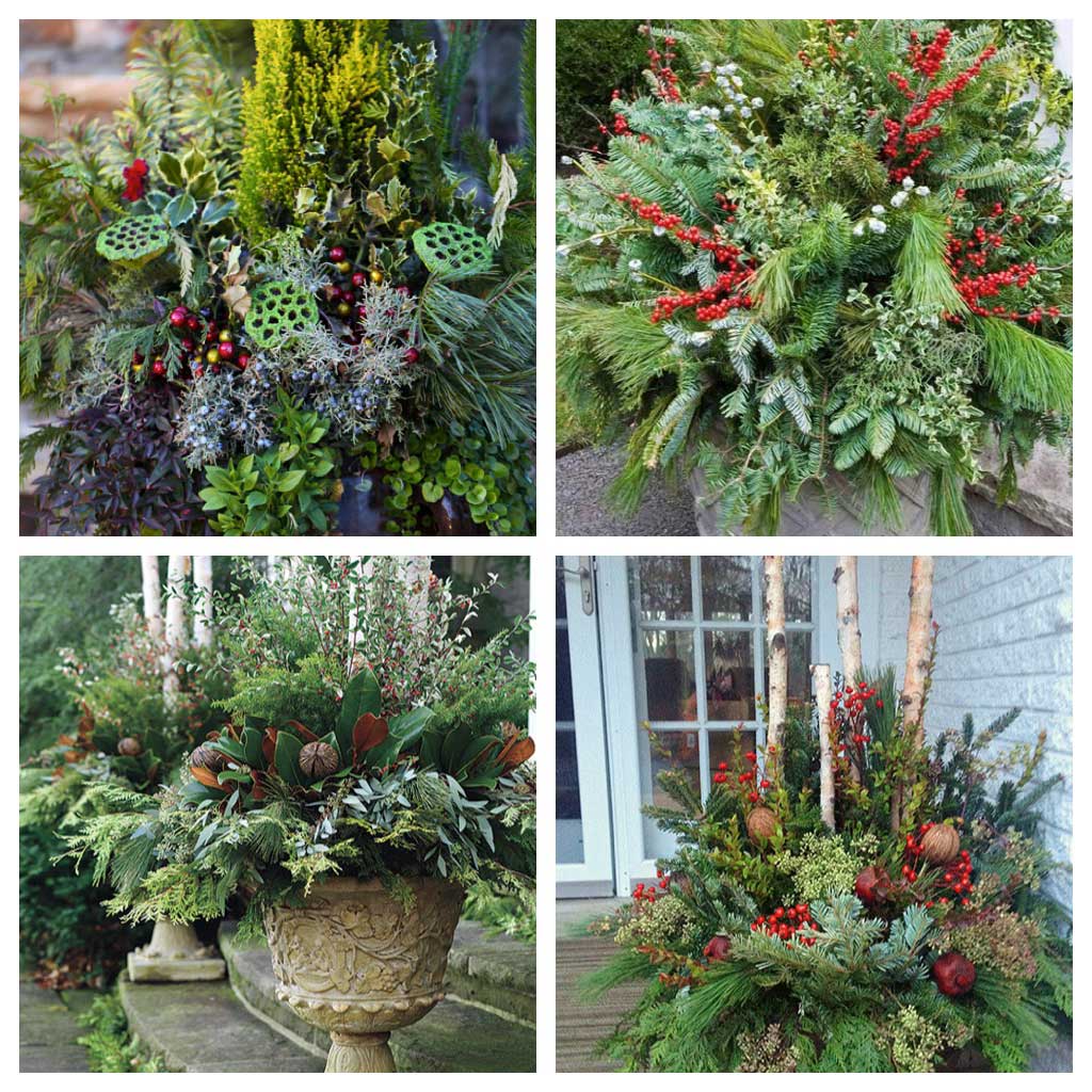 Decorate Your Entryway for the Holidays - Longfield Gardens.jpg