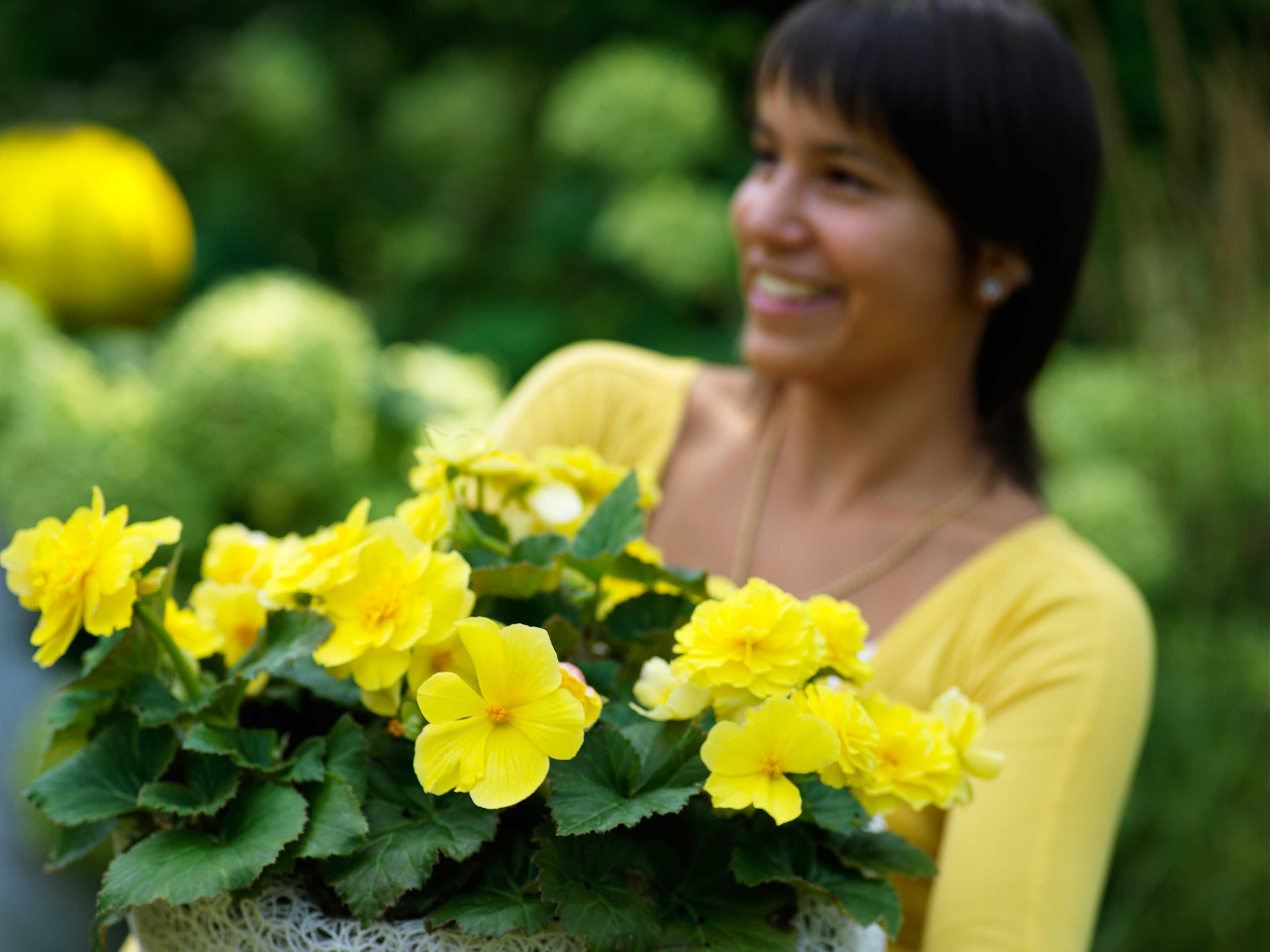 Time to Jump Start Your Tuberous Begonias - Longfield Gardens