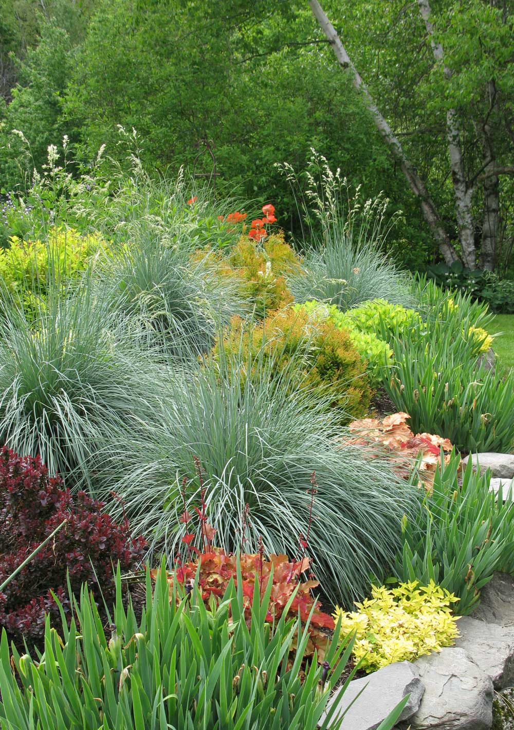 spring garden checklist —Longfield-Gardens