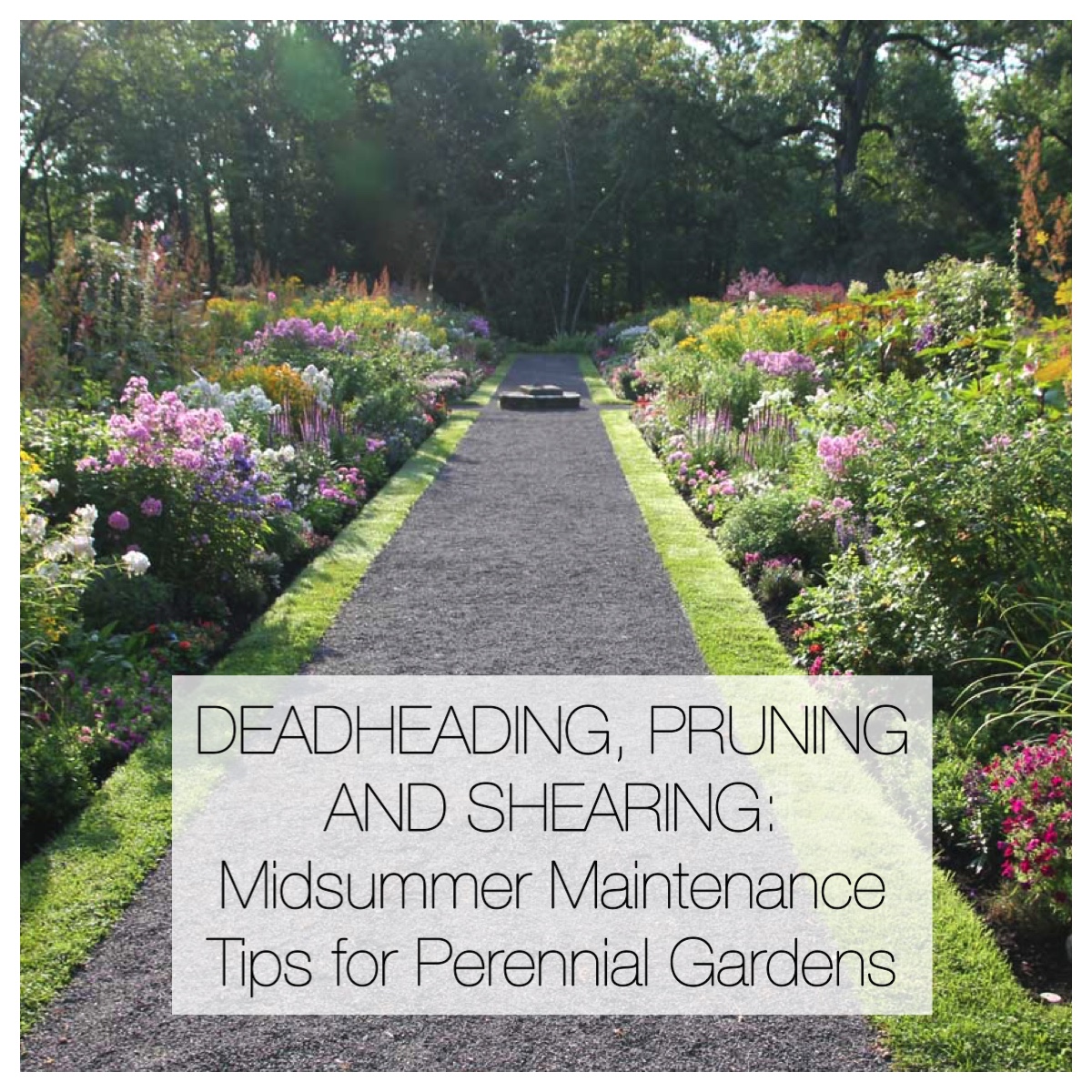 Summer Perennial Garden Maintenance - Longfield Gardens